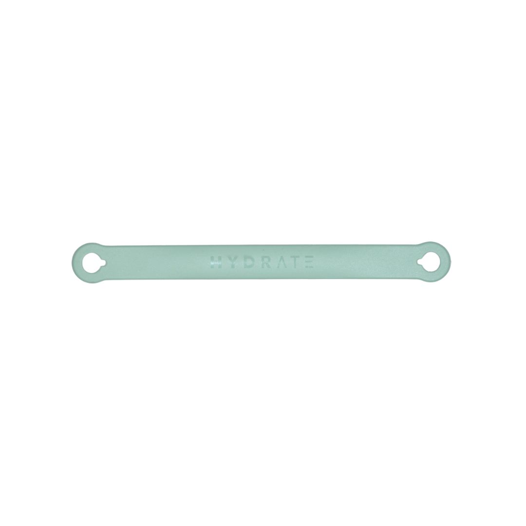 STRAP (1)